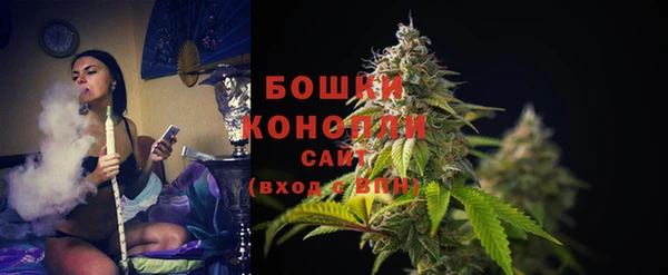 молекула духа Балахна