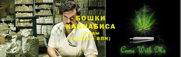 молекула духа Балахна