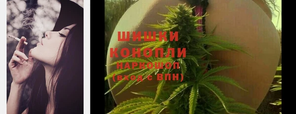 молекула духа Балахна